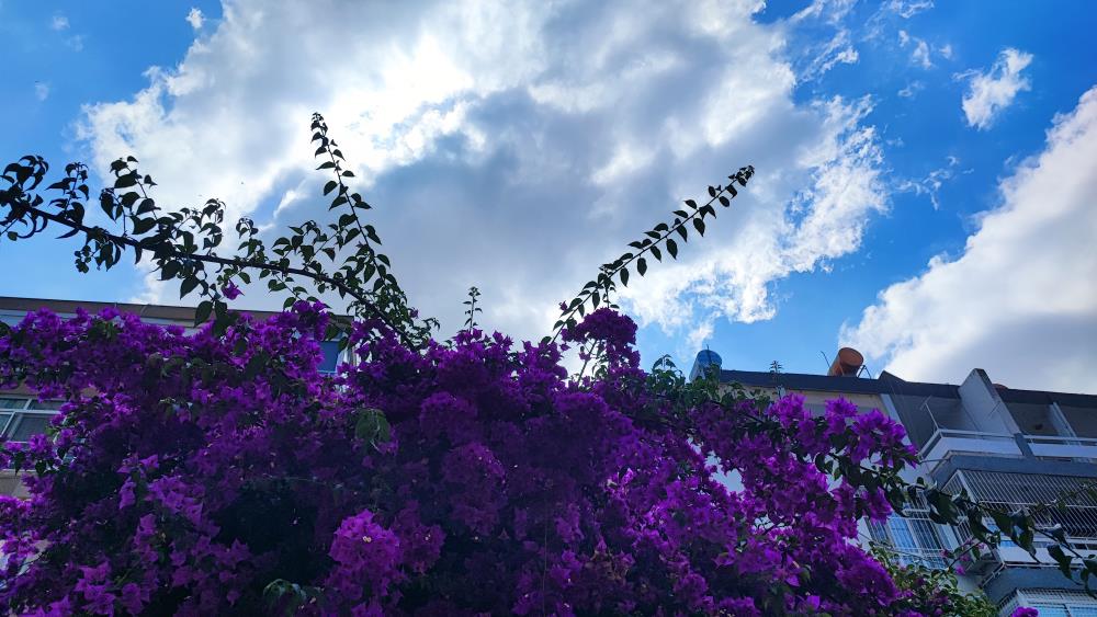 Adana iki gün yağmurlu, bugün ve yarın sıcaklık artacak
