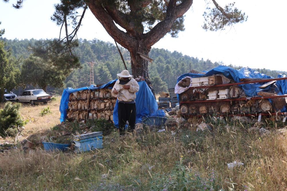 Emekli imam Toroslar'ın zirvesinde arılarla doğal hayatı seçti