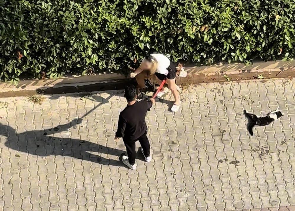 Adana’da kediyi parçalayan pitbullun sahibine 95 bin lira ceza