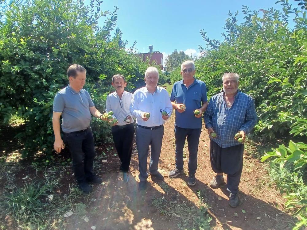 Yüreğir’de afet! Yaklaşık 35 bin dönüm tarım alanı zarar gördü