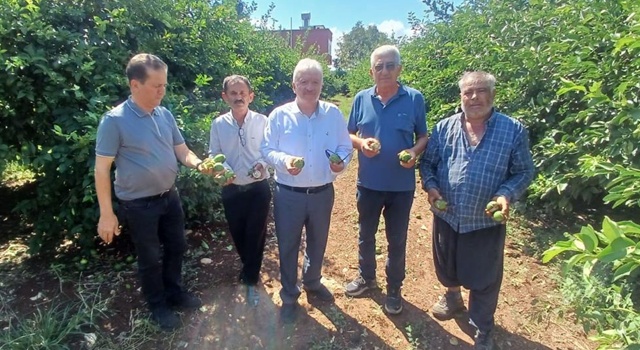 Yüreğir’de afet! Yaklaşık 35 bin dönüm tarım alanı zarar gördü