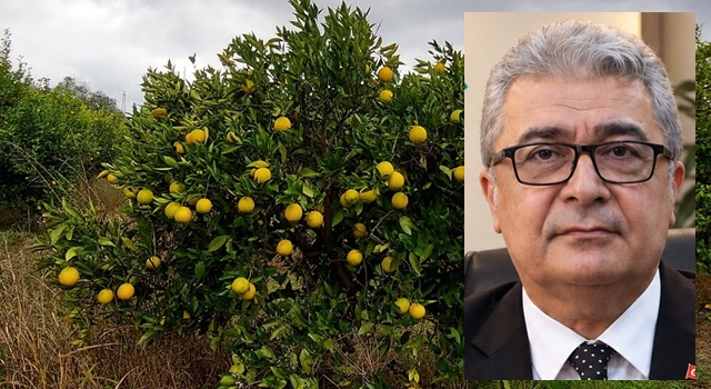 Kutlu Parti Genel Başkan Yardımcıs Yaman: