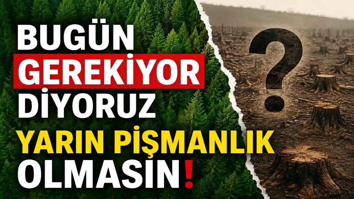 Leonardit: Türkiye topraklarının Kurtuluş Reçetesi