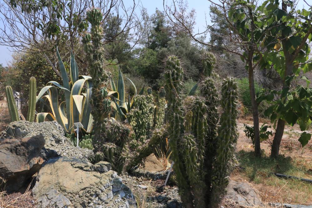 Patagonya değil Adana