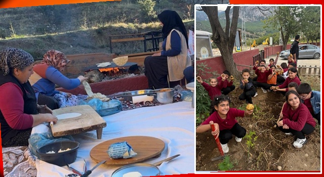 Pozantı'lı öğrencilerin bahçede yetiştirdiği ürünler sofraya taşındı
