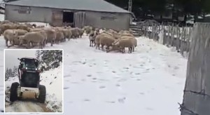 Kadirli'de Kar kalınlığı 1 metreye ulaştı, mahsur kalan vatandaş kurtarıldı