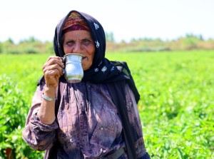 Tarım işçilerinin sıcakta ekmek parası mücadelesi