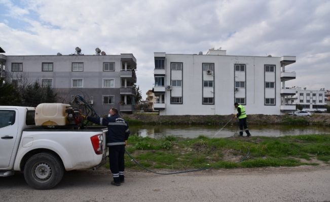 Ceyhan’da sinekle mücadele başladı