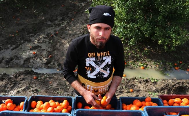 Marketçilere fahiş fiyat suçlaması