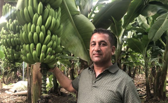 Olumsuz rapor veren bankaları utandırdı