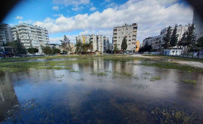 Adana’da su birikintileri buz tuttu