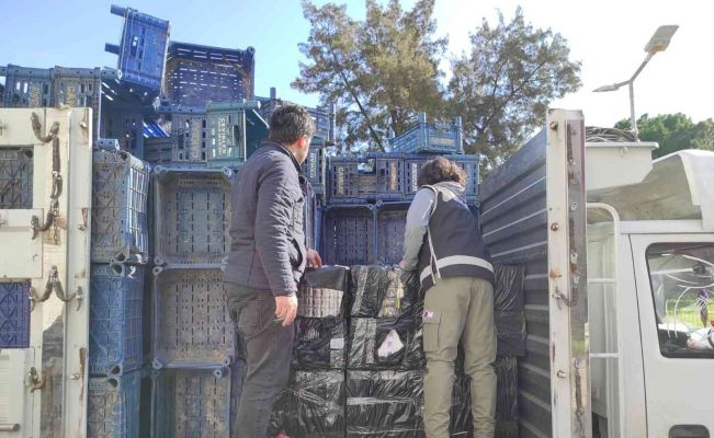 Meyve-sebze kamyonundan kaçak sigara çıktı