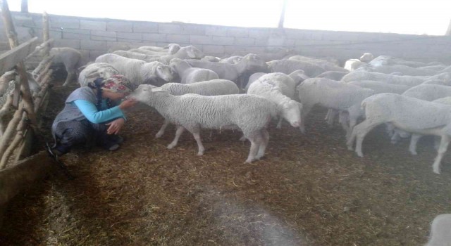 Yolu kapatılan besici kadın açlık grevine başladı