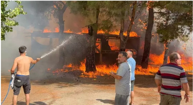 ADANA HABER UYARIYOR ! Ormanlar Alarm Veriyor | Felaketi Beklemeden Önlem Alınmalı