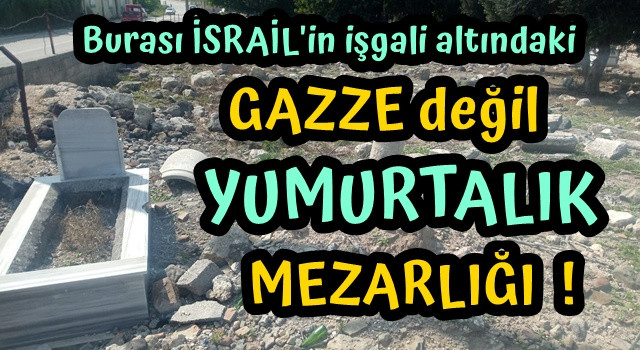 Yumurtalık Belediye başkanı Altıok'a Çağrı: Diriye Saygınız Yok, bari Ölüye Olsun