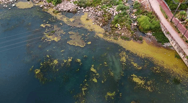 Adana Büyükşehir 'Zeydan' Derdinde Çöp Dağları Seyhan Nehri'nde