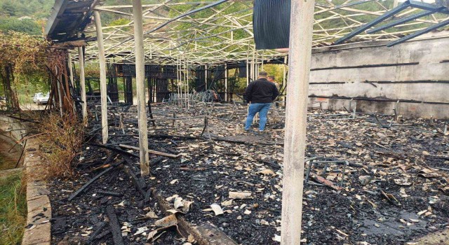 Alabalık tesisi alevlere teslim oldu