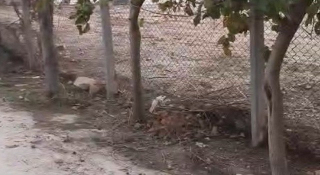 Adana’da DSİ’den Tepki Çeken Uygulama: TOKİ Konutlarının Yolu Tel Örgüyle Kapatıldı