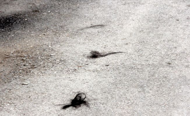 Darp edilen kadın saçlarını yoldan topladı