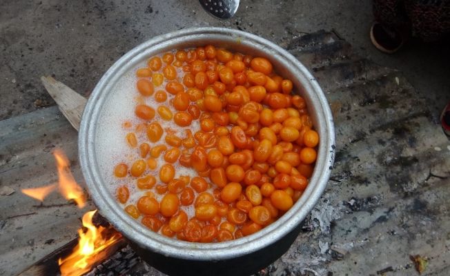 Odun ateşinde kazanlar kamkat reçeli için kaynadı