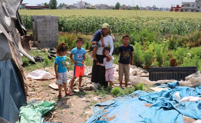Çadırda yaşayan tarım işçisi aileye 7 bin lira su borcu