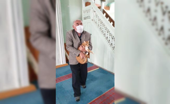 Saimbeyli’de cami görevlileri ve cemaat sokak hayvanlarına sahip çıkıyor