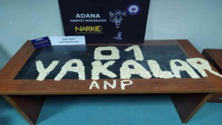 Adana’da 16 torbacı tutuklandı