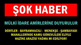 Adana'da hazine arazisi yağması