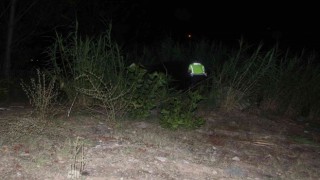 Adana’da otomobil otluk alana devrildi: 2 yaralı