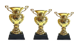 Ödül Kupası Nedir? Anlamı, Önemi ve Kişiye Özel Seçenekler